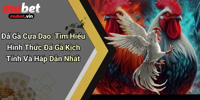 Đá Gà Cựa Dao: Tìm Hiểu Hình Thức Đá Gà Kịch Tính Và Hấp Dẫn Nhất