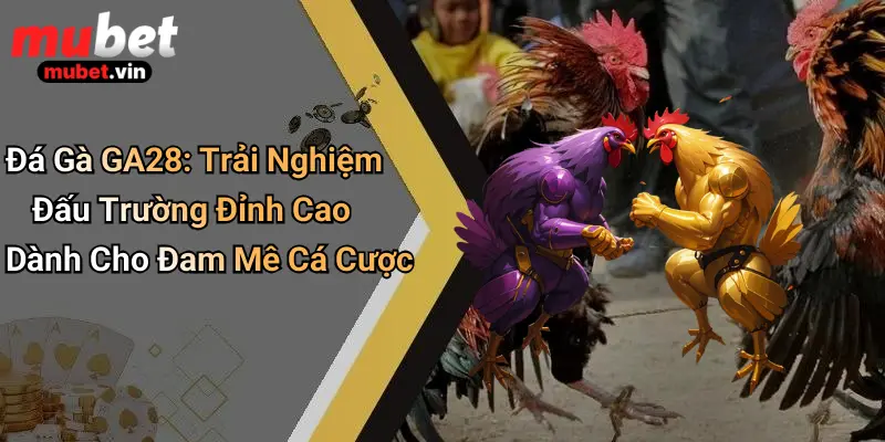 Đá Gà GA28: Trải Nghiệm Đấu Trường Đỉnh Cao Dành Cho Đam Mê Cá Cược